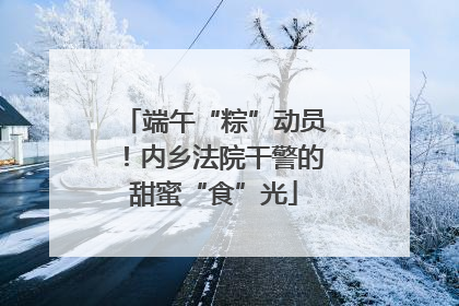 端午“粽”动员！内乡法院干警的甜蜜“食”光