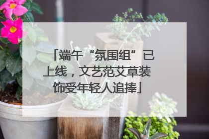 端午“氛围组”已上线，文艺范艾草装饰受年轻人追捧