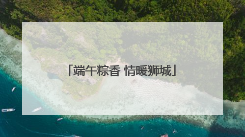 端午粽香 情暖狮城