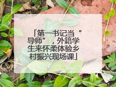 第一书记当“导师”，外籍学生来怀柔体验乡村振兴现场课