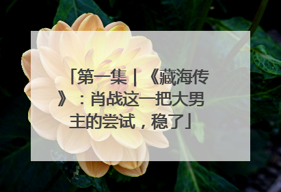 第一集｜《藏海传》：肖战这一把大男主的尝试，稳了