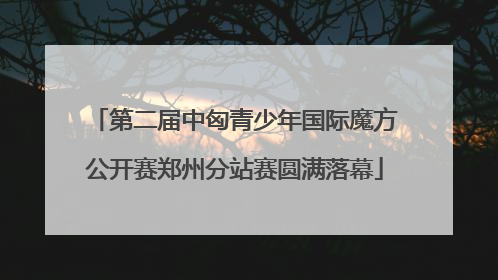 第二届中匈青少年国际魔方公开赛郑州分站赛圆满落幕