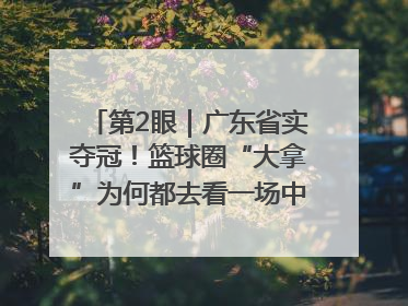 第2眼｜广东省实夺冠！篮球圈“大拿”为何都去看一场中学生比赛？