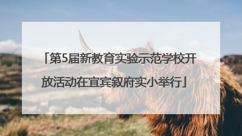 第5届新教育实验示范学校开放活动在宜宾叙府实小举行
