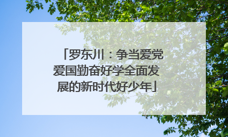 罗东川：争当爱党爱国勤奋好学全面发展的新时代好少年