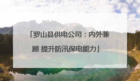 罗山县供电公司：内外兼顾 提升防汛保电能力