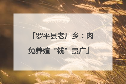 罗平县老厂乡：肉兔养殖“钱”景广