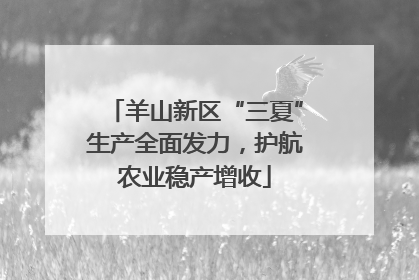 羊山新区“三夏”生产全面发力，护航农业稳产增收