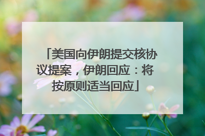 美国向伊朗提交核协议提案，伊朗回应：将按原则适当回应