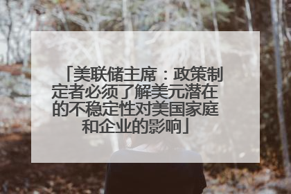 美联储主席：政策制定者必须了解美元潜在的不稳定性对美国家庭和企业的影响