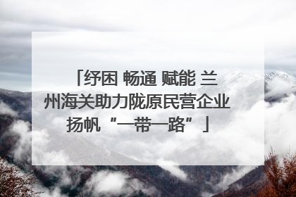 纾困 畅通 赋能 兰州海关助力陇原民营企业扬帆“一带一路”