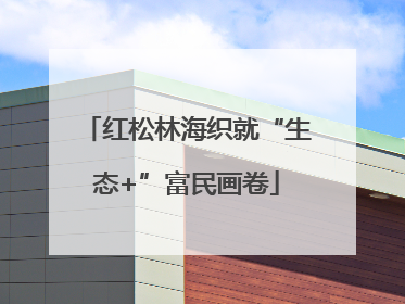 红松林海织就“生态+”富民画卷