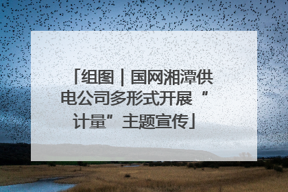 组图｜国网湘潭供电公司多形式开展“计量”主题宣传