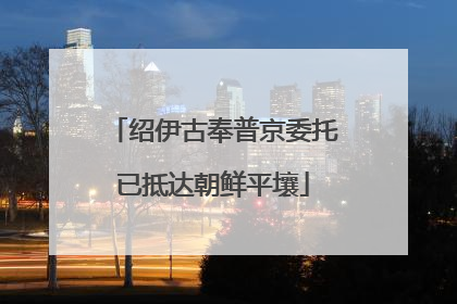 绍伊古奉普京委托已抵达朝鲜平壤