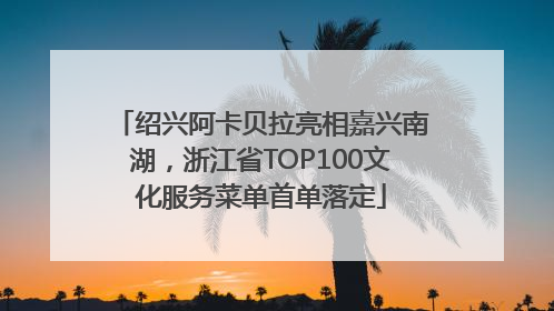绍兴阿卡贝拉亮相嘉兴南湖，浙江省TOP100文化服务菜单首单落定