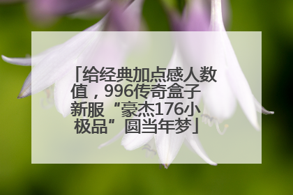给经典加点感人数值，996传奇盒子新服“豪杰176小极品”圆当年梦