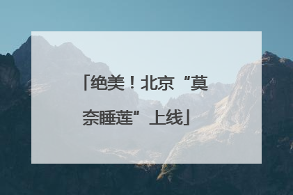 绝美！北京“莫奈睡莲”上线