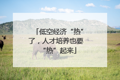 低空经济“热”了，人才培养也要“热”起来