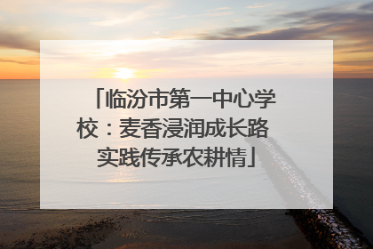 临汾市第一中心学校：麦香浸润成长路 实践传承农耕情