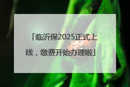 临沂保2025正式上线，缴费开始办理啦