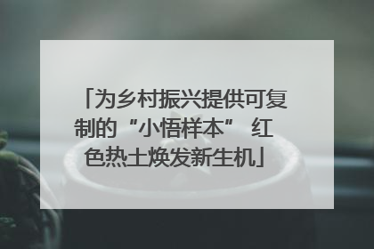 为乡村振兴提供可复制的“小悟样本” 红色热土焕发新生机