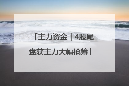 主力资金｜4股尾盘获主力大幅抢筹