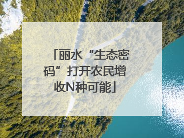 丽水“生态密码”打开农民增收N种可能