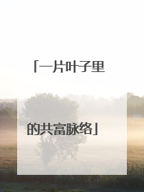 一片叶子里的共富脉络