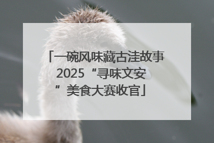 一碗风味藏古洼故事 2025“寻味文安”美食大赛收官