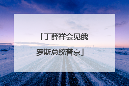 丁薛祥会见俄罗斯总统普京