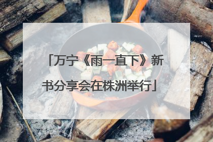 万宁《雨一直下》新书分享会在株洲举行