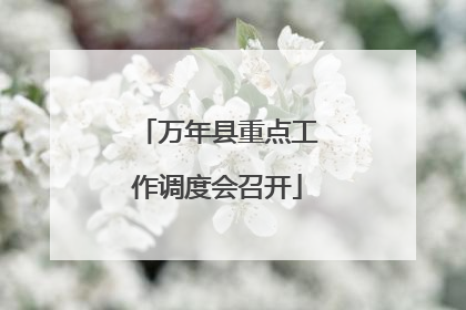 万年县重点工作调度会召开