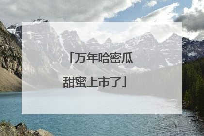 万年哈密瓜甜蜜上市了