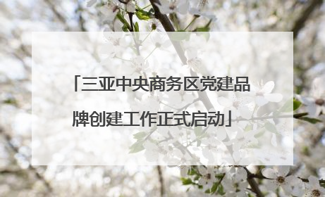 三亚中央商务区党建品牌创建工作正式启动