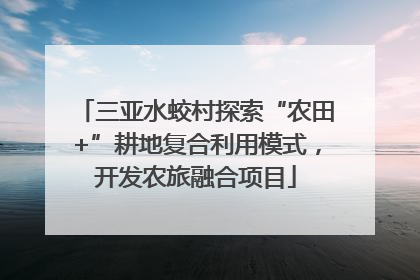 三亚水蛟村探索“农田+”耕地复合利用模式，开发农旅融合项目