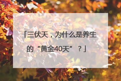 三伏天，为什么是养生的“黄金40天”？