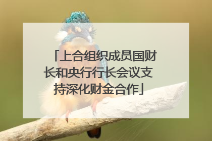 上合组织成员国财长和央行行长会议支持深化财金合作