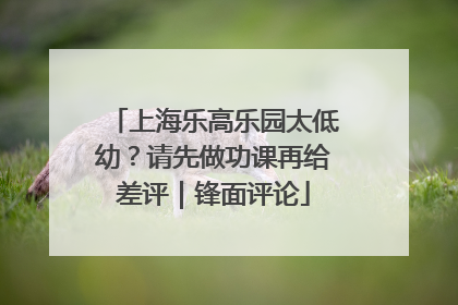 上海乐高乐园太低幼？请先做功课再给差评｜锋面评论