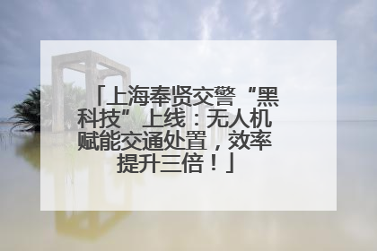 上海奉贤交警“黑科技”上线：无人机赋能交通处置，效率提升三倍！