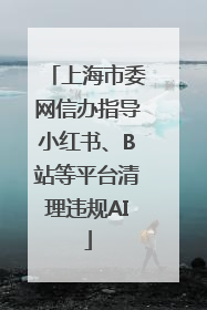 上海市委网信办指导小红书、B站等平台清理违规AI