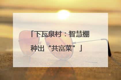 下瓦泉村：智慧棚种出“共富菜”