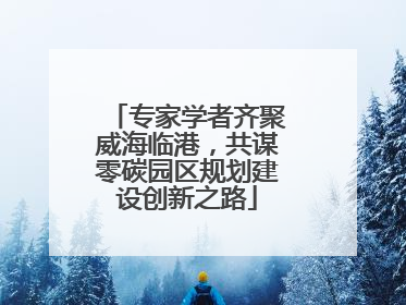 专家学者齐聚威海临港，共谋零碳园区规划建设创新之路