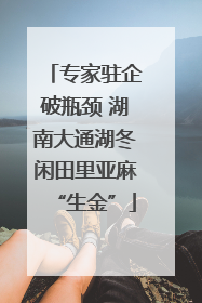 专家驻企破瓶颈 湖南大通湖冬闲田里亚麻“生金”