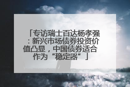 专访瑞士百达杨孝强：新兴市场债券投资价值凸显，中国债券适合作为“稳定器”