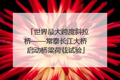 世界最大跨度斜拉桥——常泰长江大桥启动桥梁荷载试验
