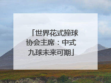世界花式撞球协会主席：中式九球未来可期