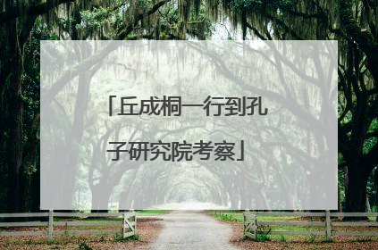 丘成桐一行到孔子研究院考察
