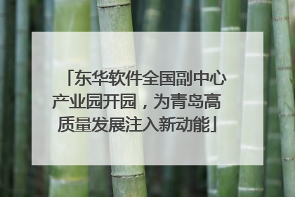 东华软件全国副中心产业园开园，为青岛高质量发展注入新动能