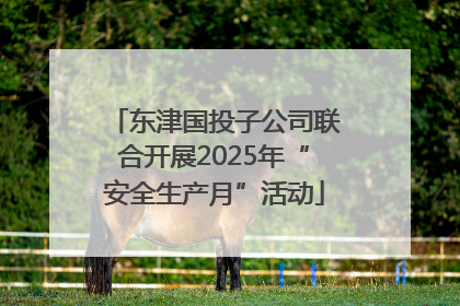 东津国投子公司联合开展2025年“安全生产月”活动