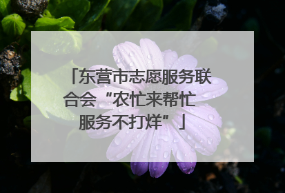 东营市志愿服务联合会“农忙来帮忙 服务不打烊”